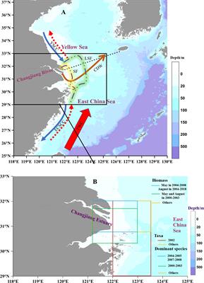 Long-term changes in zooplankton in the Changjiang estuary from the 1960s to 2020